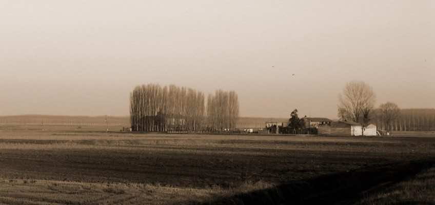 Campagna di Maria Elisa Mainino