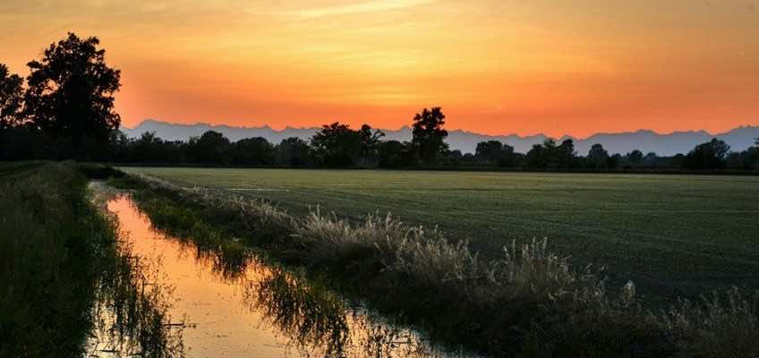 Campagna lomellina di Paola Cariati