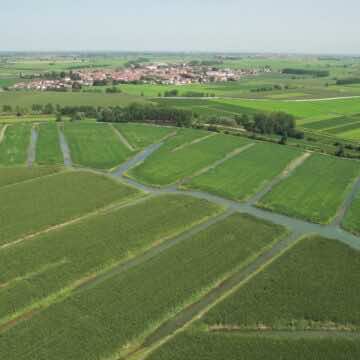 L’acqua della risaia non si disperde